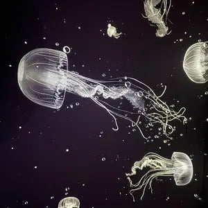 View customer review photo 1