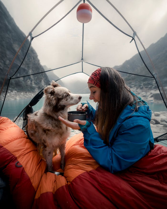 Woman camping with her dog by a lakeshore in Huaraz, Áncash, Peru. Perfect adventure setting.